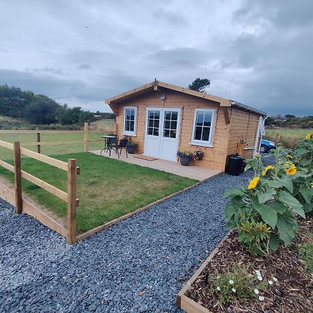 Bumble Bee Cabin Bootle  Exterior photo