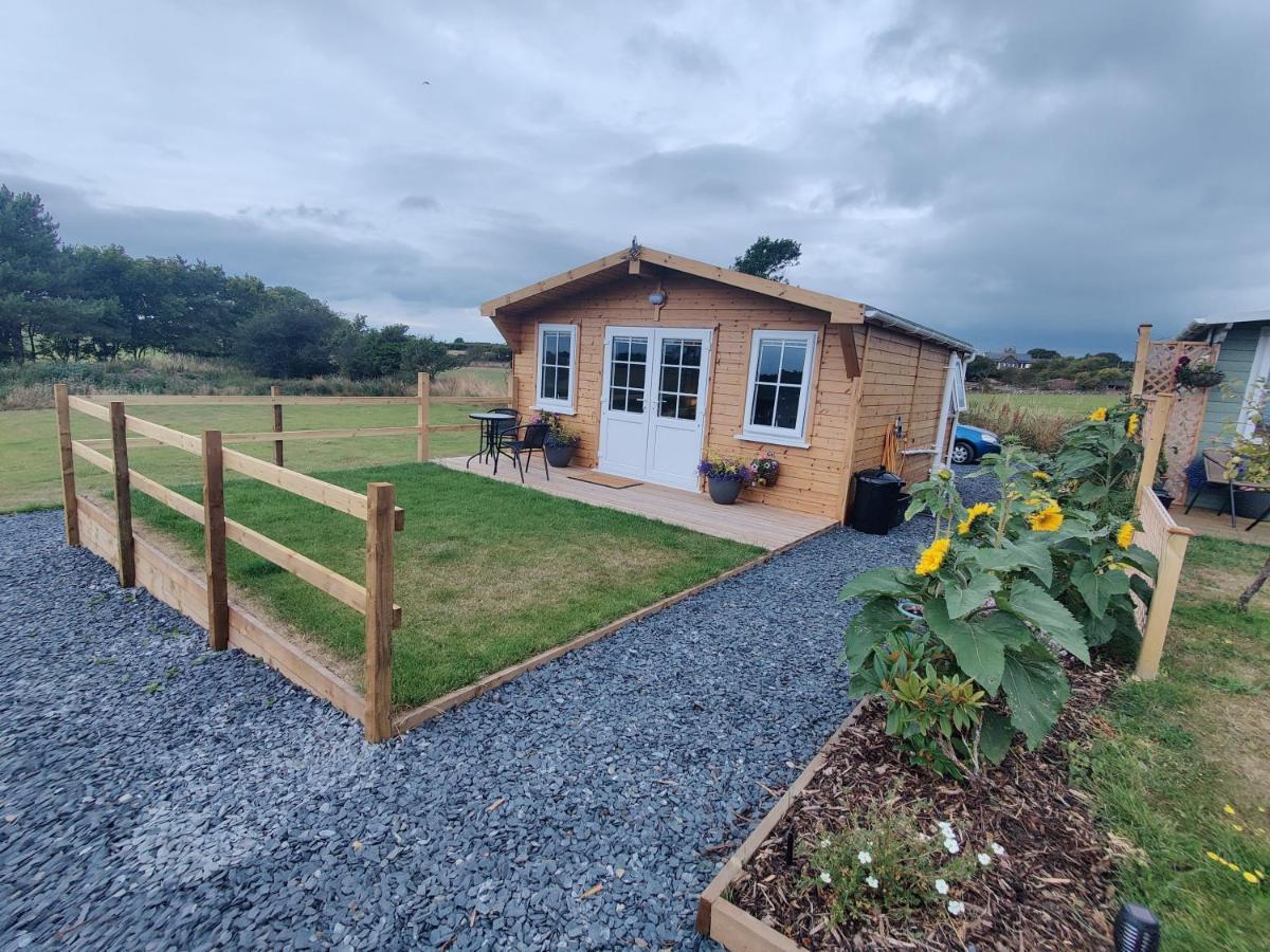 Bumble Bee Cabin Bootle  Exterior photo
